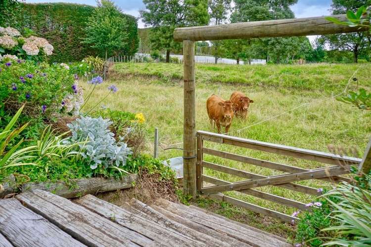 58 Huse Lane Te Puke_17