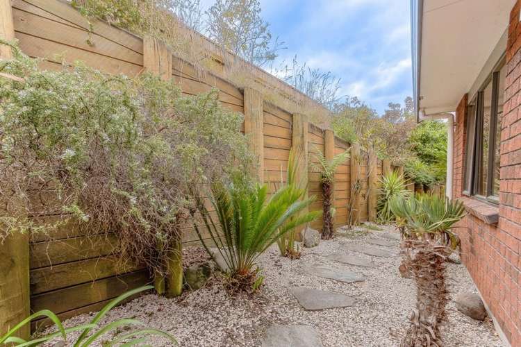 196 Parsons Street Tawhero_17