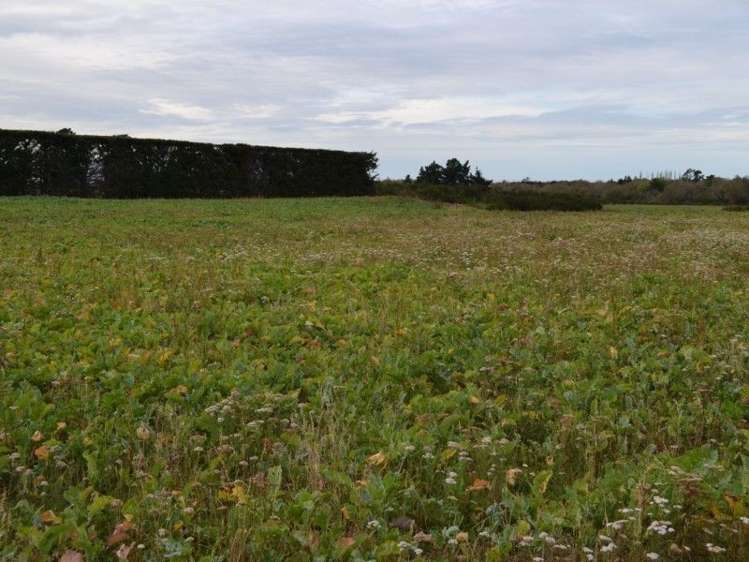 453 Woodside Road Oxford_30