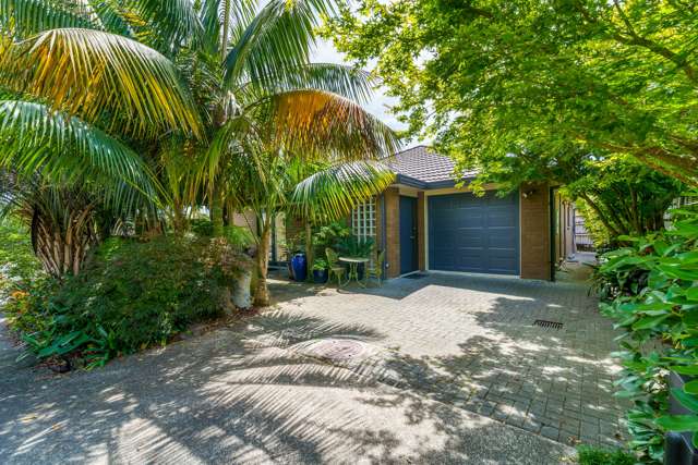 36 Red Hibiscus Road Stanmore Bay_1