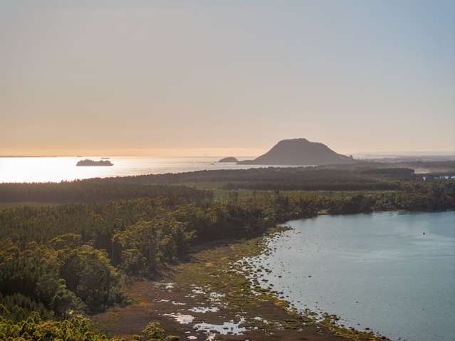 205 Matakana Is 19 HA Matakana Island_2