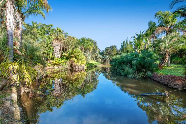 257 Pine Valley Road Dairy Flat_9