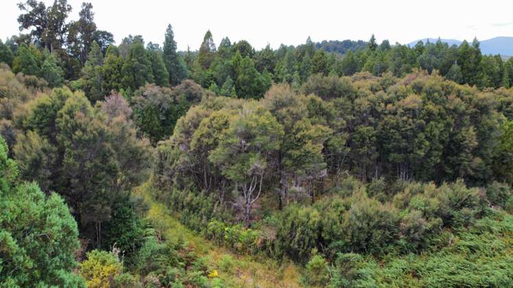 61d Beechwater Drive Moana / Lake Brunner_4