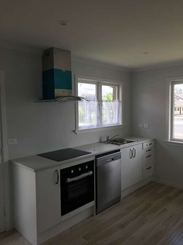 1/294 Ulster Street Whitiora_1