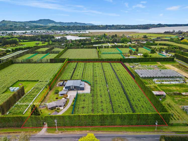 151 Beach Road Katikati_0