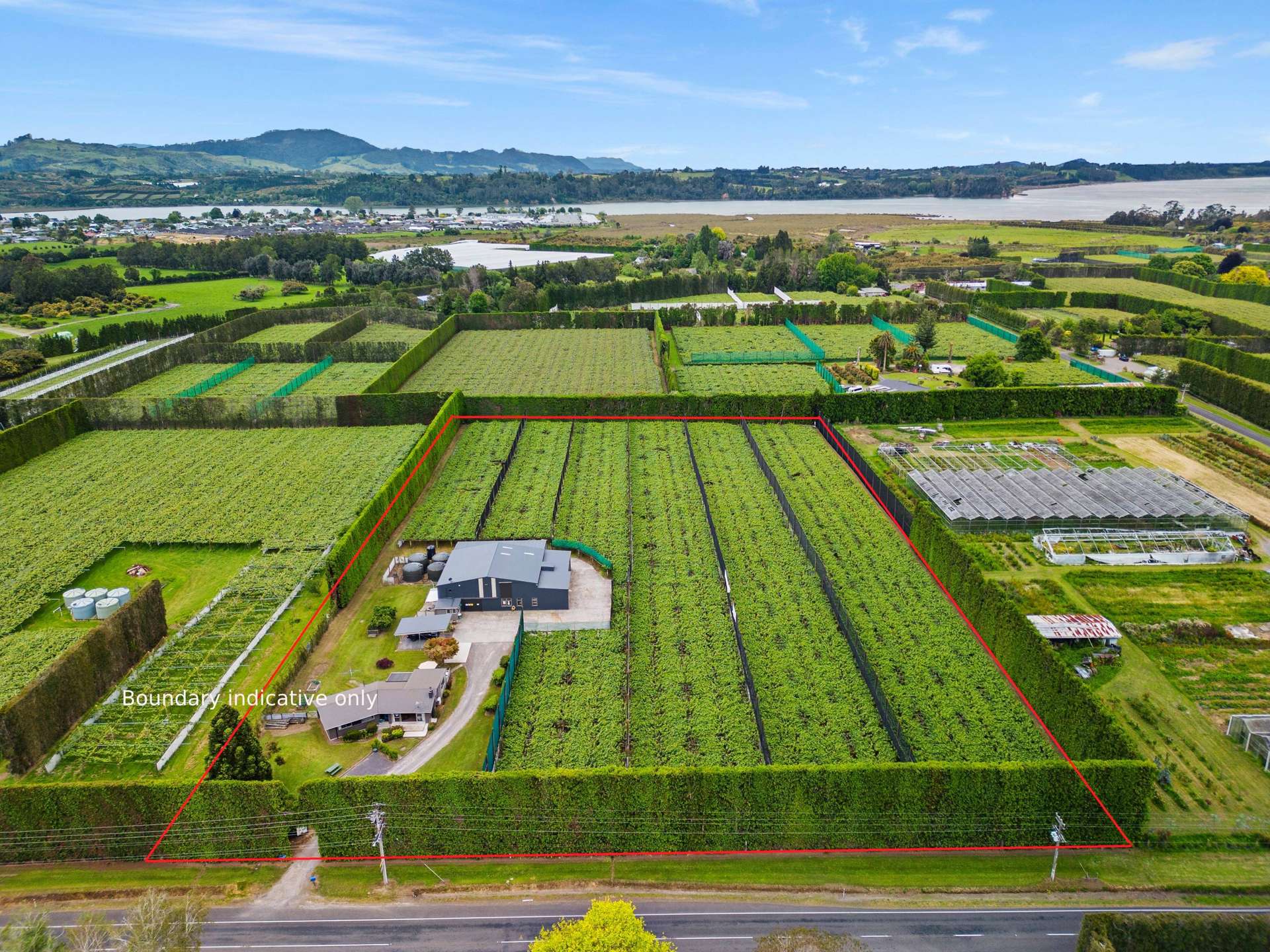 151 Beach Road Katikati_0