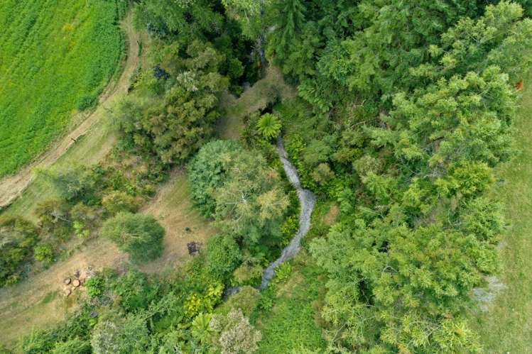 57 Tiverton Downs Road Broadlands_12