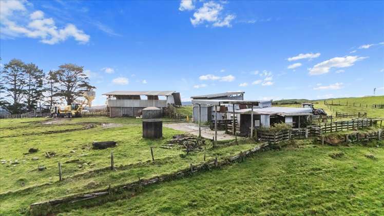 1535 Taumatamaire Road Awakino_27