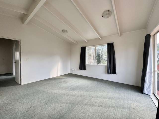 125B Seabrook Ave New Lynn_1