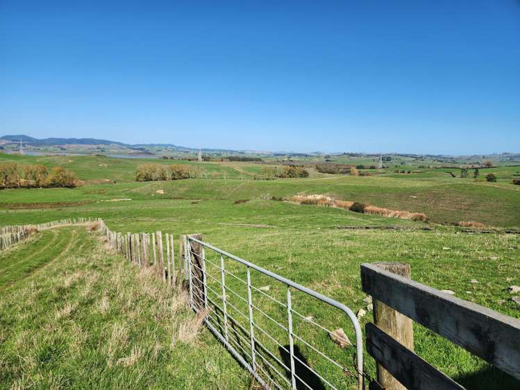 579 Hetherington Road Rotongaro_24