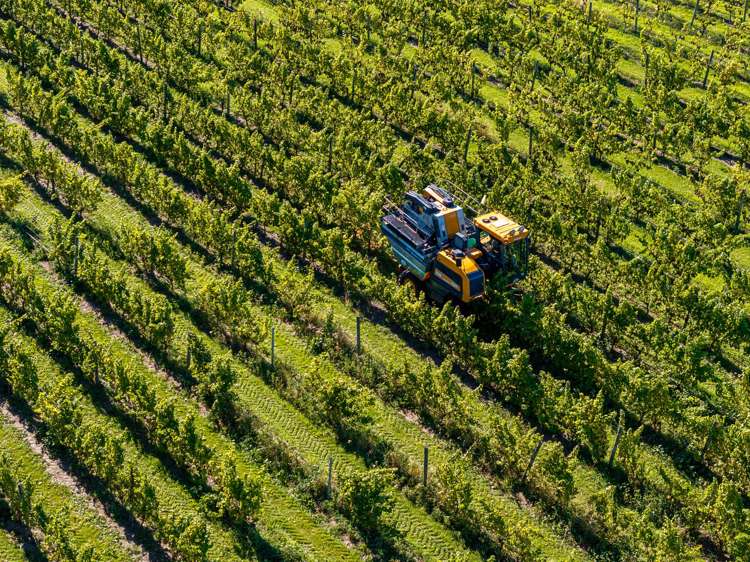 124P Mackenzies Road Waipara_20