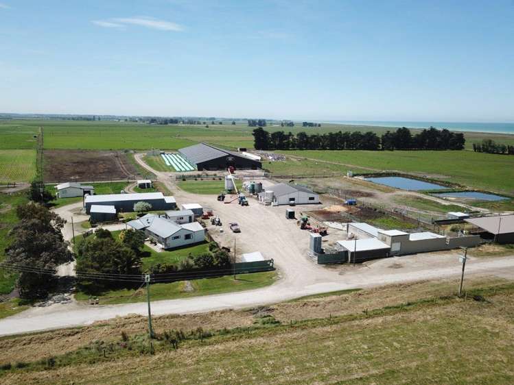 139 Phar Lap Road Seadown_8