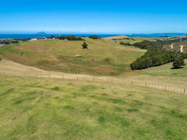 207 Sandford Road Ruakaka_2