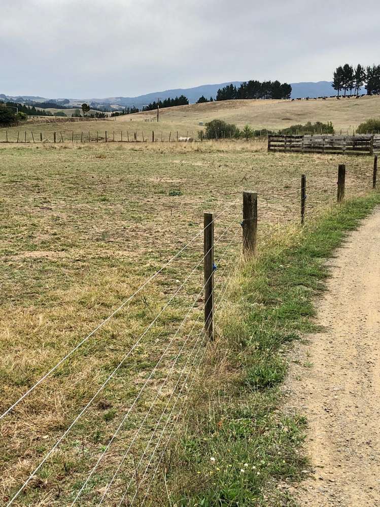 100 Hikurangi Road Otorohanga_6