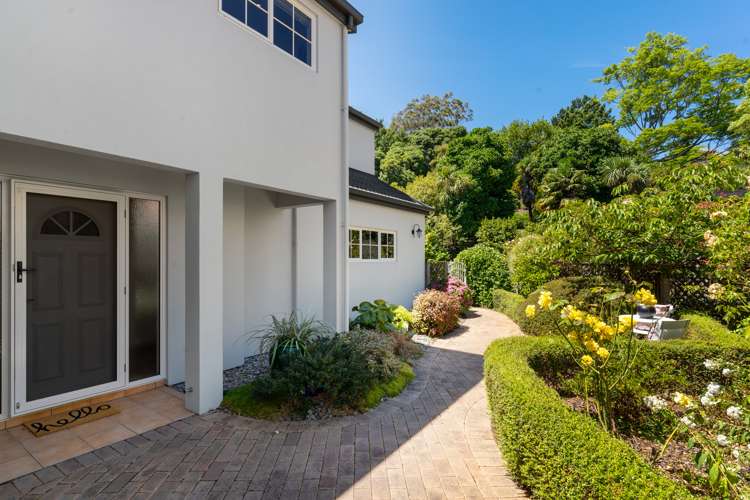 372 Trafalgar Square Nelson City_21