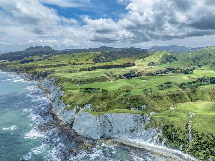 2346 Mahia East Coast Road Mahia_8