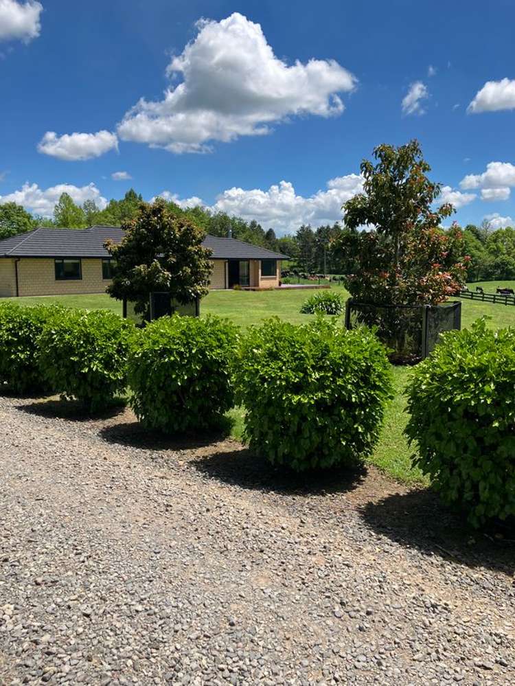 1032A Tauranga Road_1