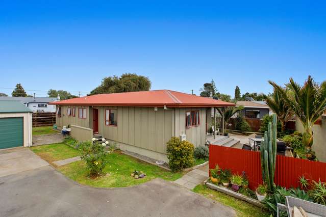 4a Konini Place Edgecumbe_2