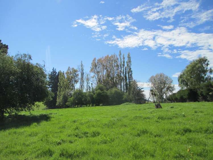 237 Rattrays Road Makikihi_16