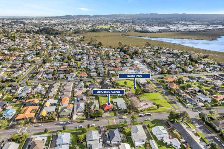 36 Oakley Avenue Waterview_8