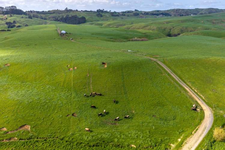 1698 Hetherington Road Huntly_6