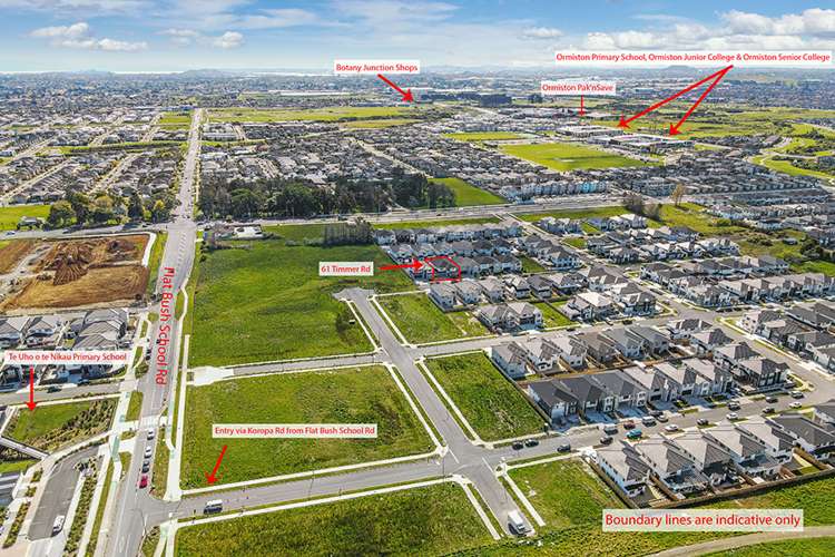 61 Timmer Road Flat Bush_16