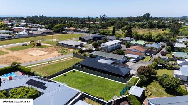 232D Carrington Street Vogeltown_2