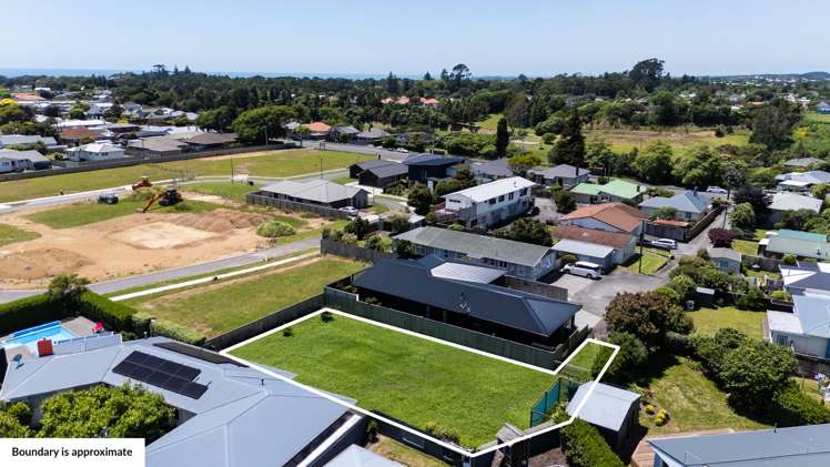 232D Carrington Street Vogeltown_6