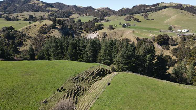 3345A Weber Road Dannevirke_8