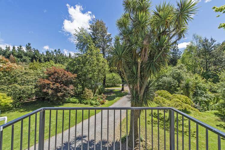 527 Kowai Road Springfield_3