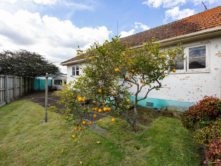 3 Plunket Terrace Hamilton East_10
