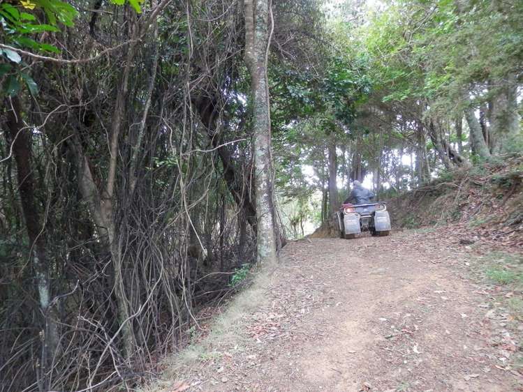 698 Whananaki South Road Whananaki_17