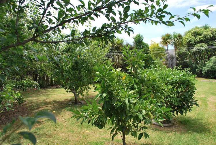 1/17 Mickle Street Te Atatu South_15