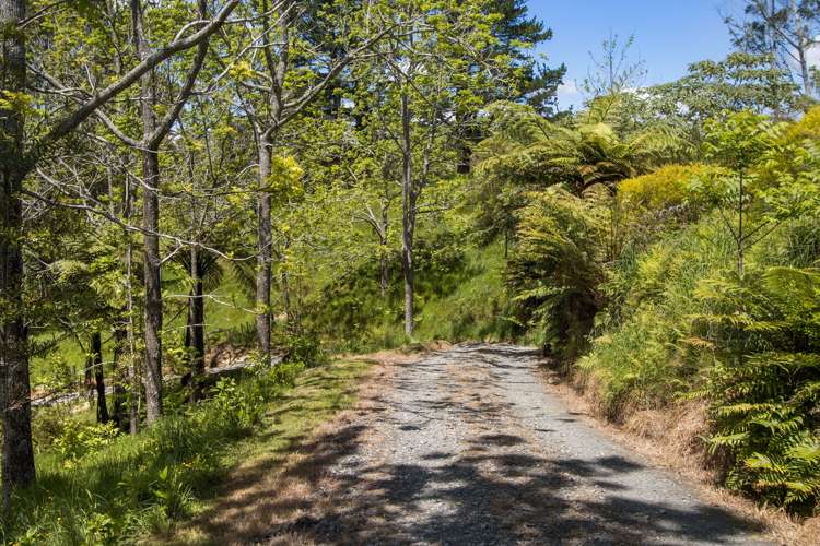 234 Walford Road Aongatete_15