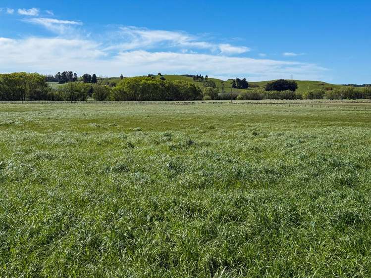 21 East Chatton Road Maitland_12