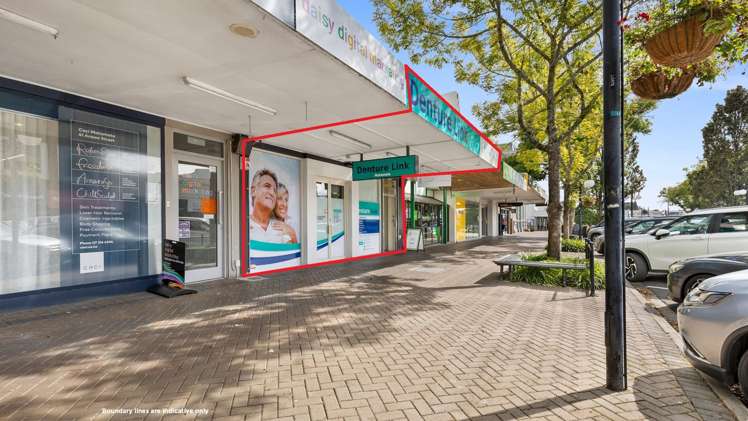 45 Arawa Street Matamata_9