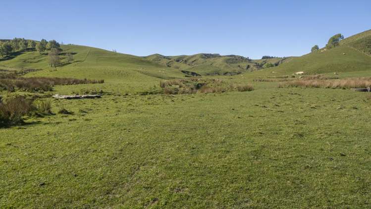 329 North Road Masterton_15