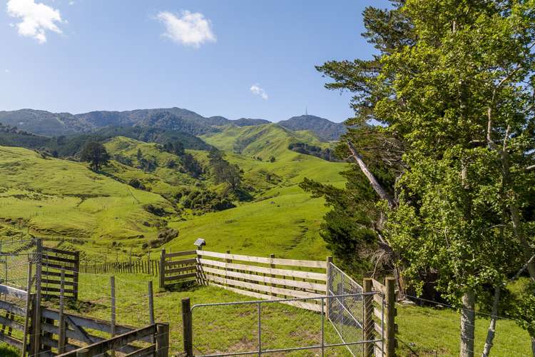 116a Hill Road Te Aroha MatamataPiako Rural Property For Sale
