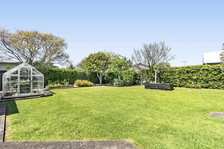 245A Carrington Street Vogeltown_40