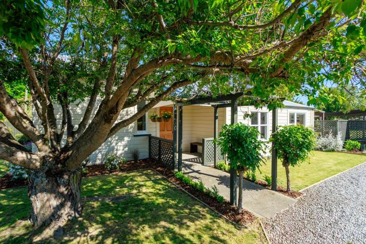 37 Dillons Point Road Islington_3