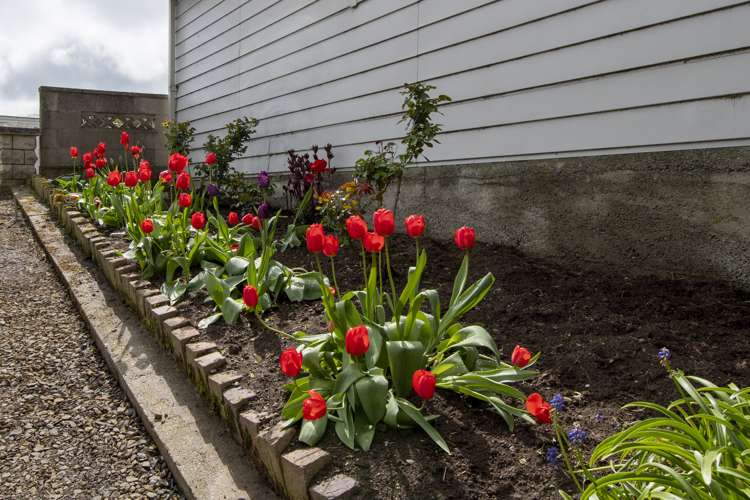 10 Stronsa Street Palmerston_14