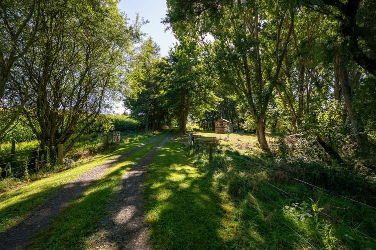 1830 State Highway 30 Horohoro_28