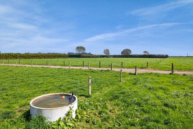 40 Arthur Street Hawera_12