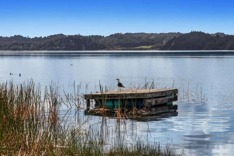 321 State Highway 30 Lake Rotoma_14
