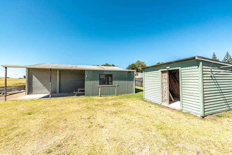 6 Kamahi Street Castlecliff_16