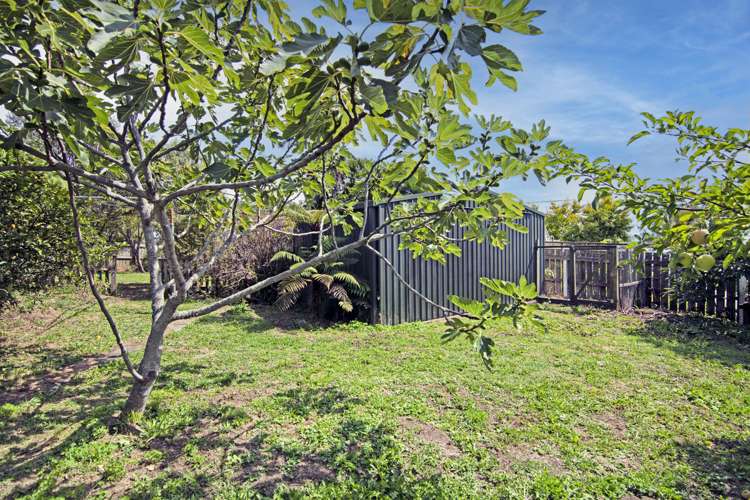 19 Douglas Road Wakatu_8