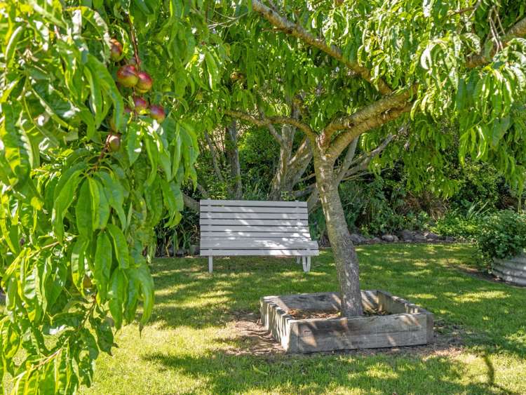 49 Princes Street Waikari_9