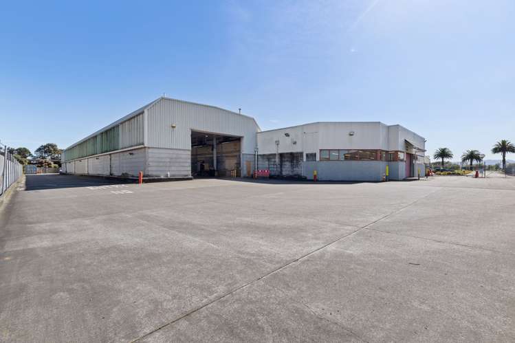 9 Matthews Avenue Takaro_5