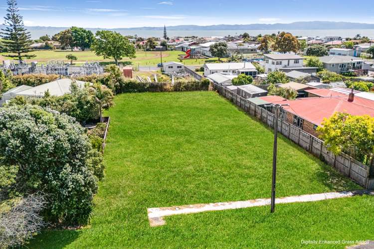 109 Tararu Road Thames_3