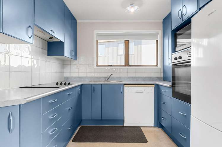 17 Hibiscus Avenue Hamilton Lake_7